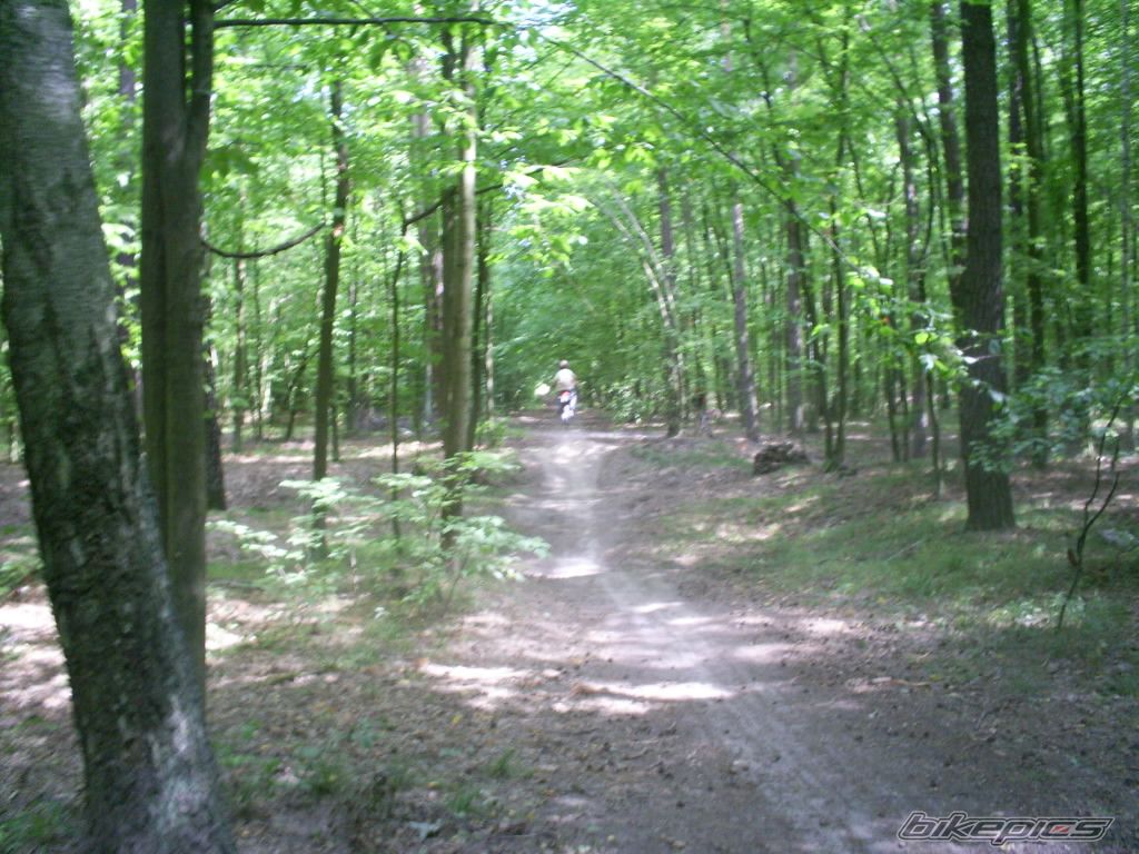 Photo 985875