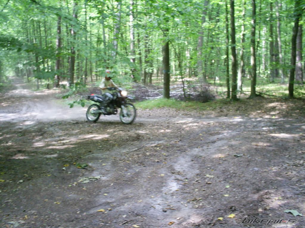 Bike Photo 985878