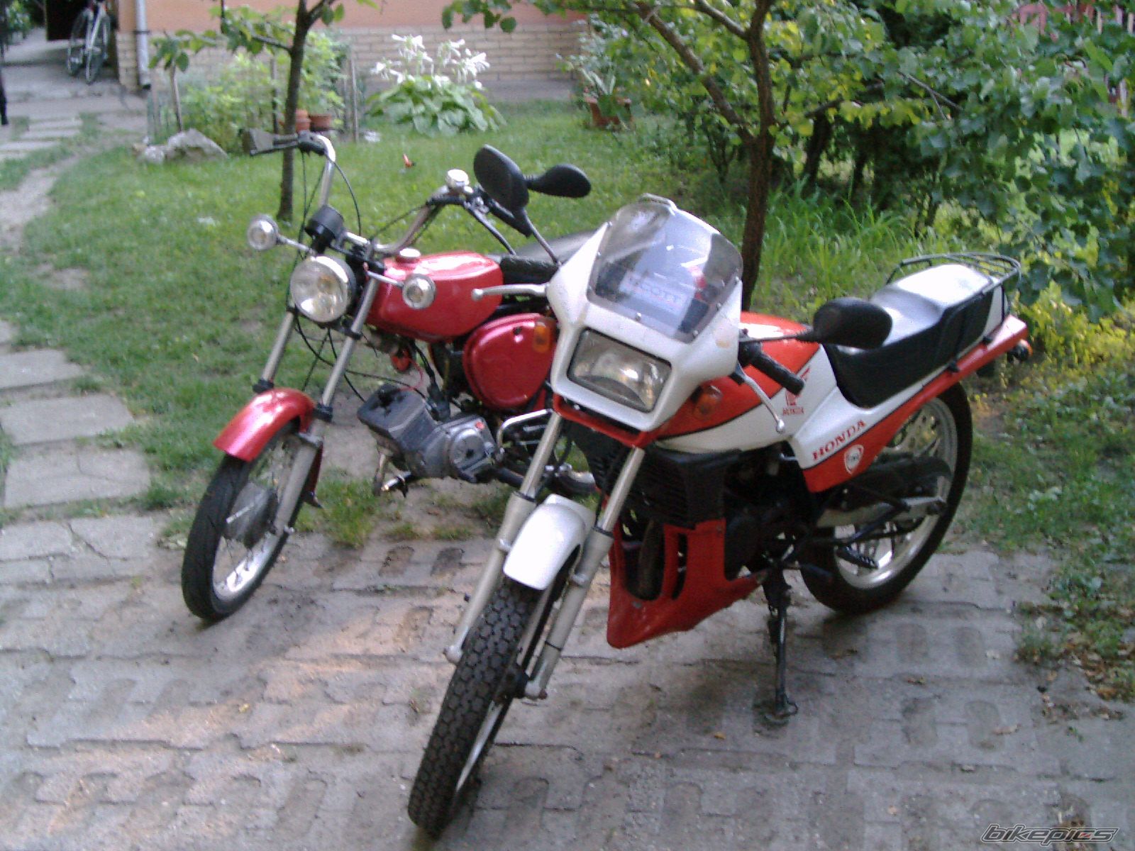 Photo 986141