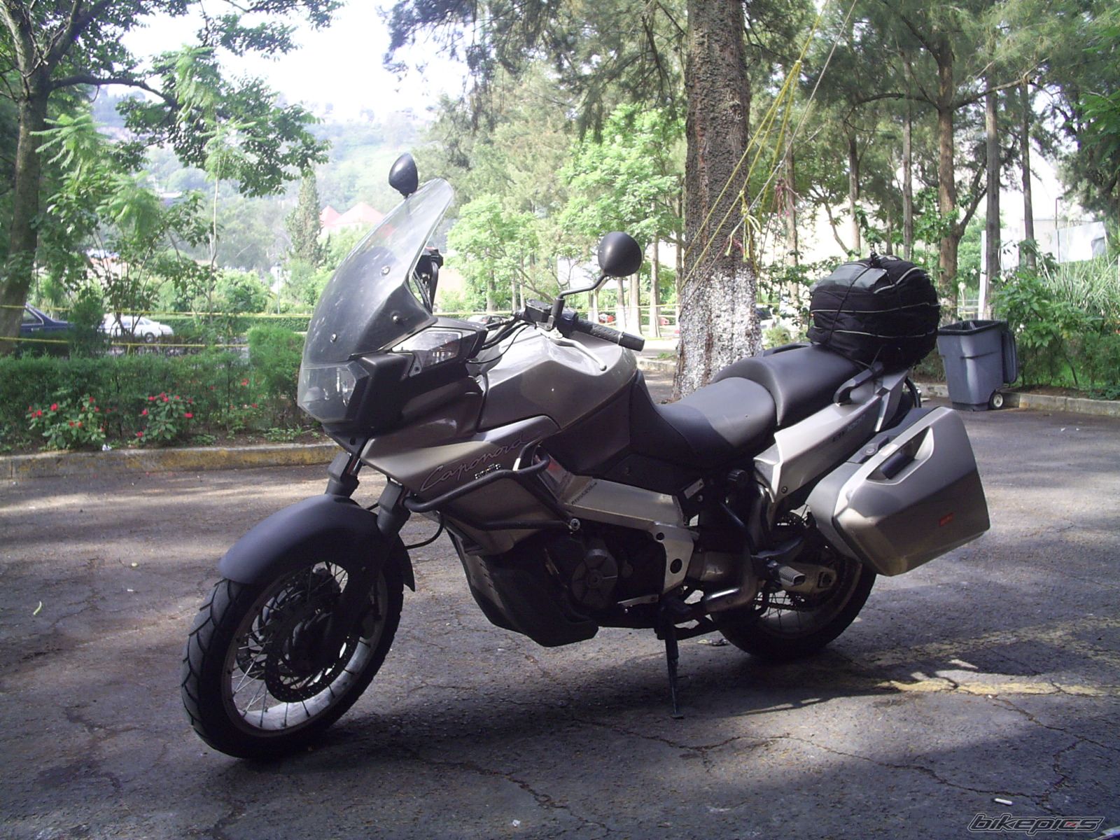 Photo 986202