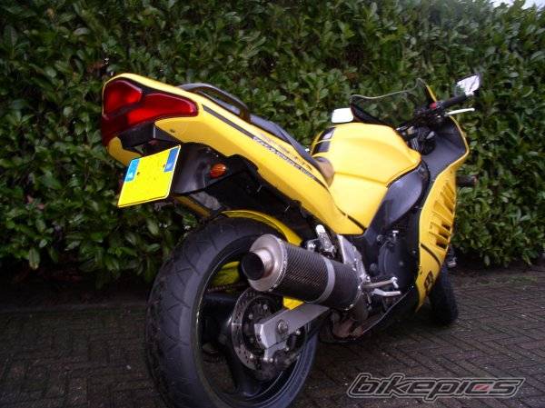 Photo 98623