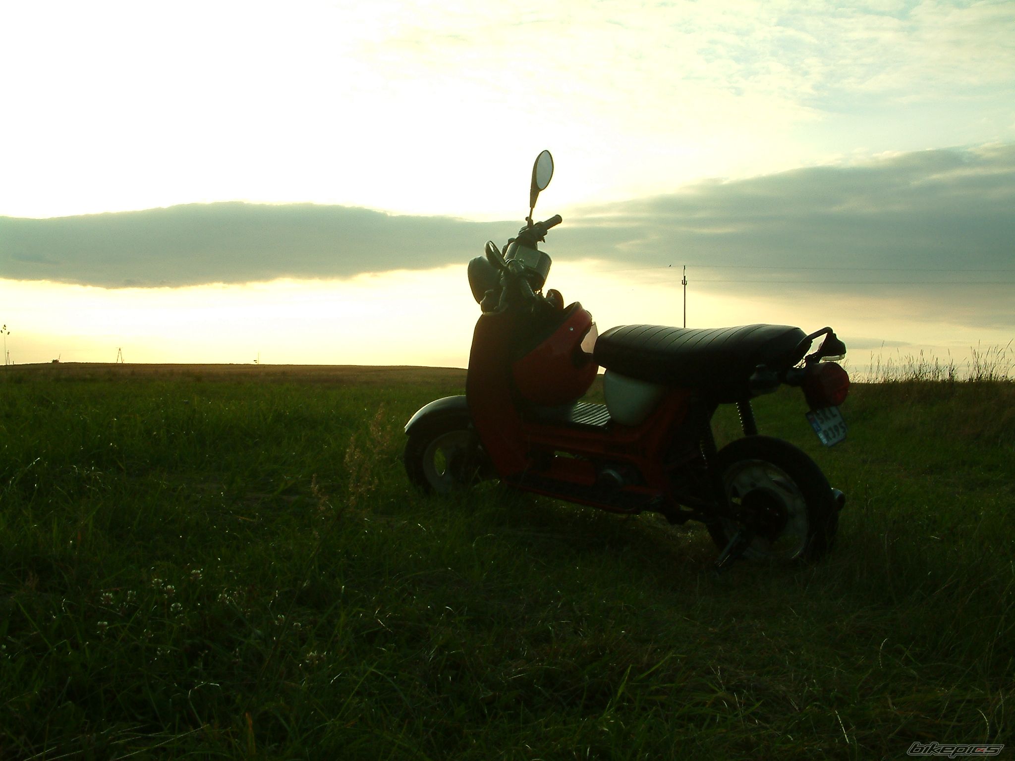 Photo 986232