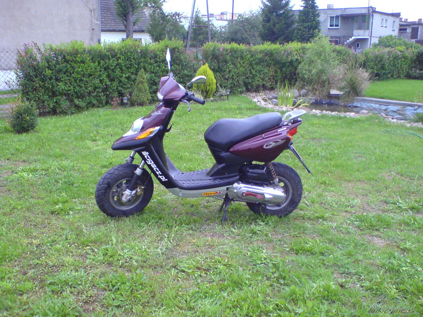 Photo 986261