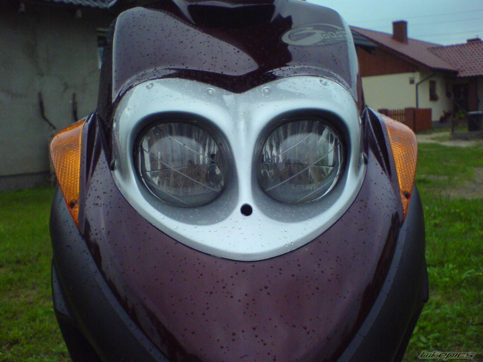Photo 986264