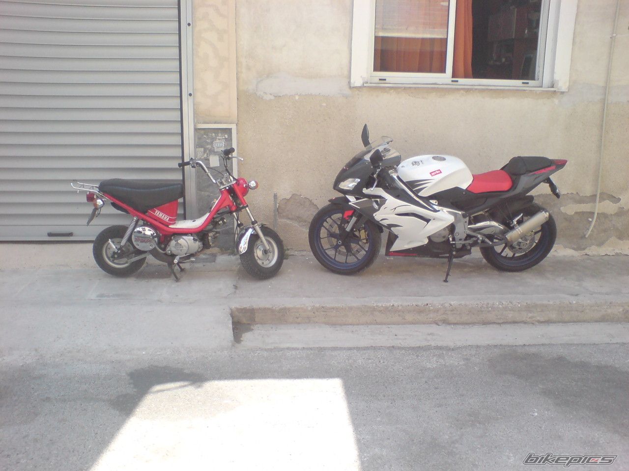 Photo 986416