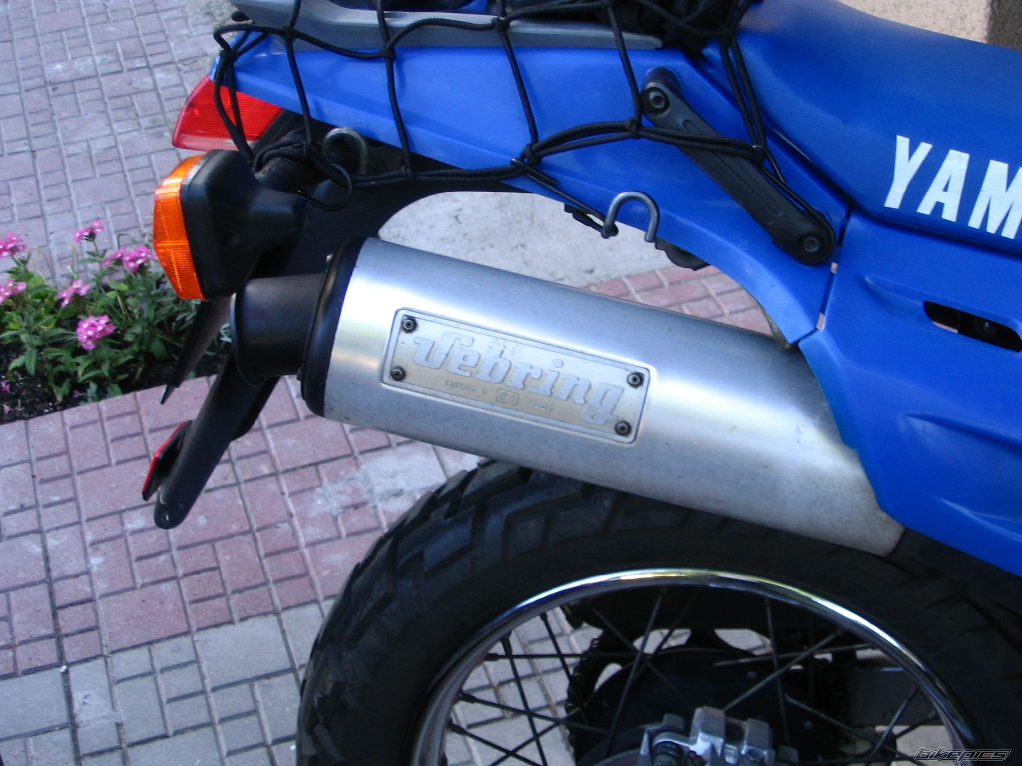 Photo 986451