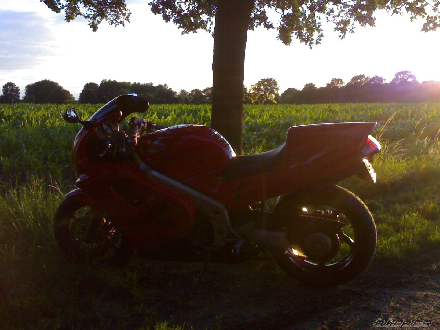 Photo 986462