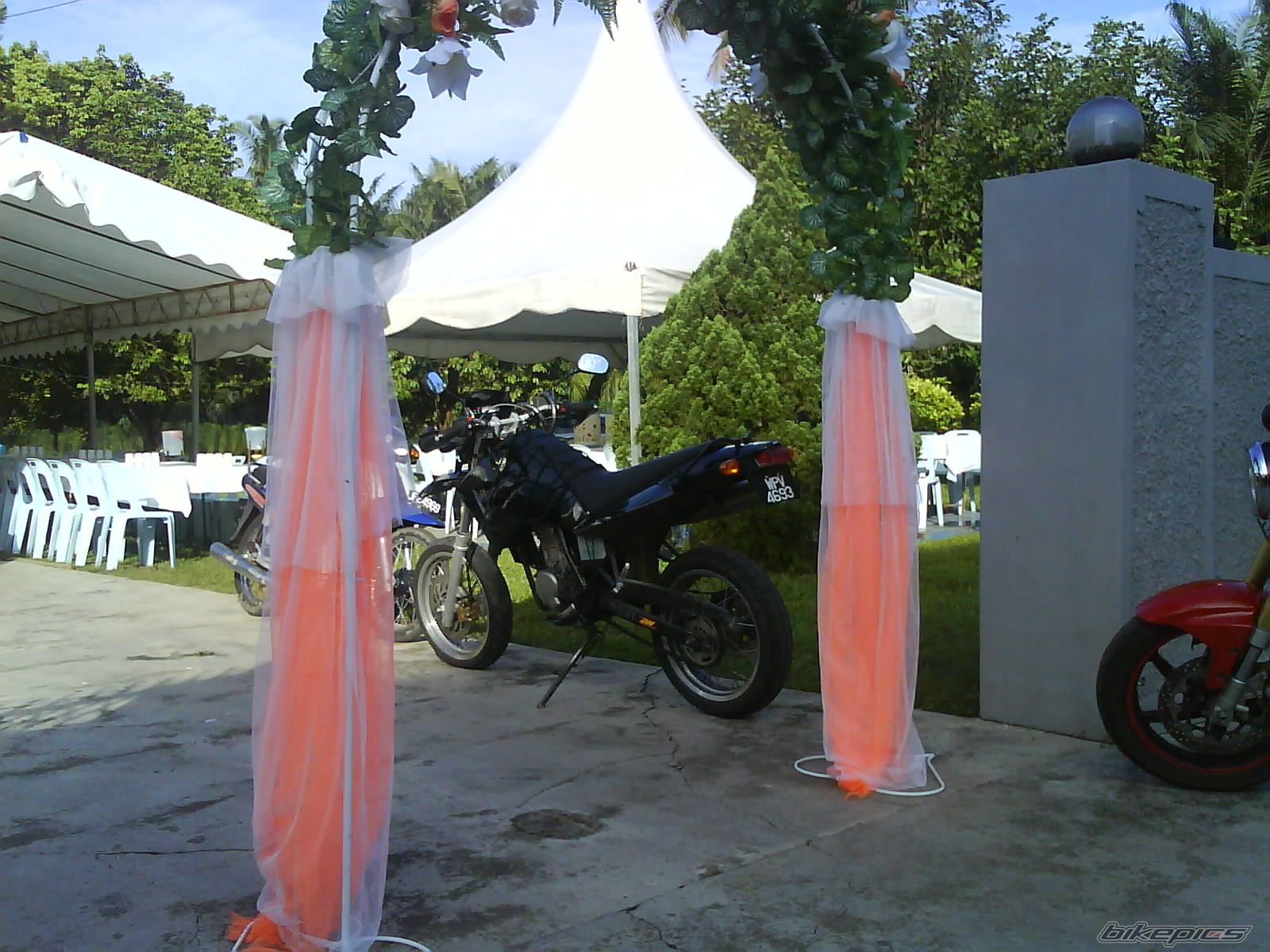 Photo 986473