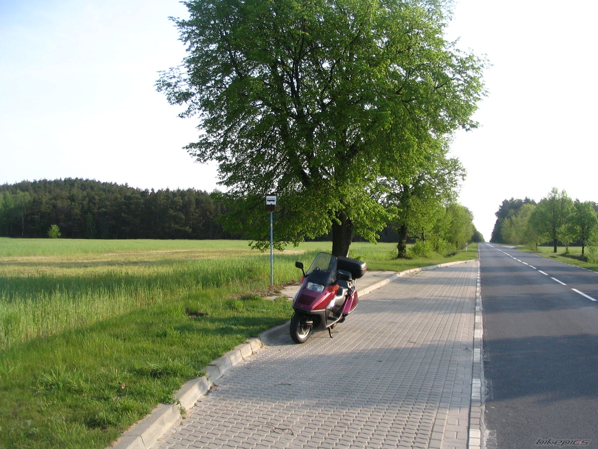 Photo 986477