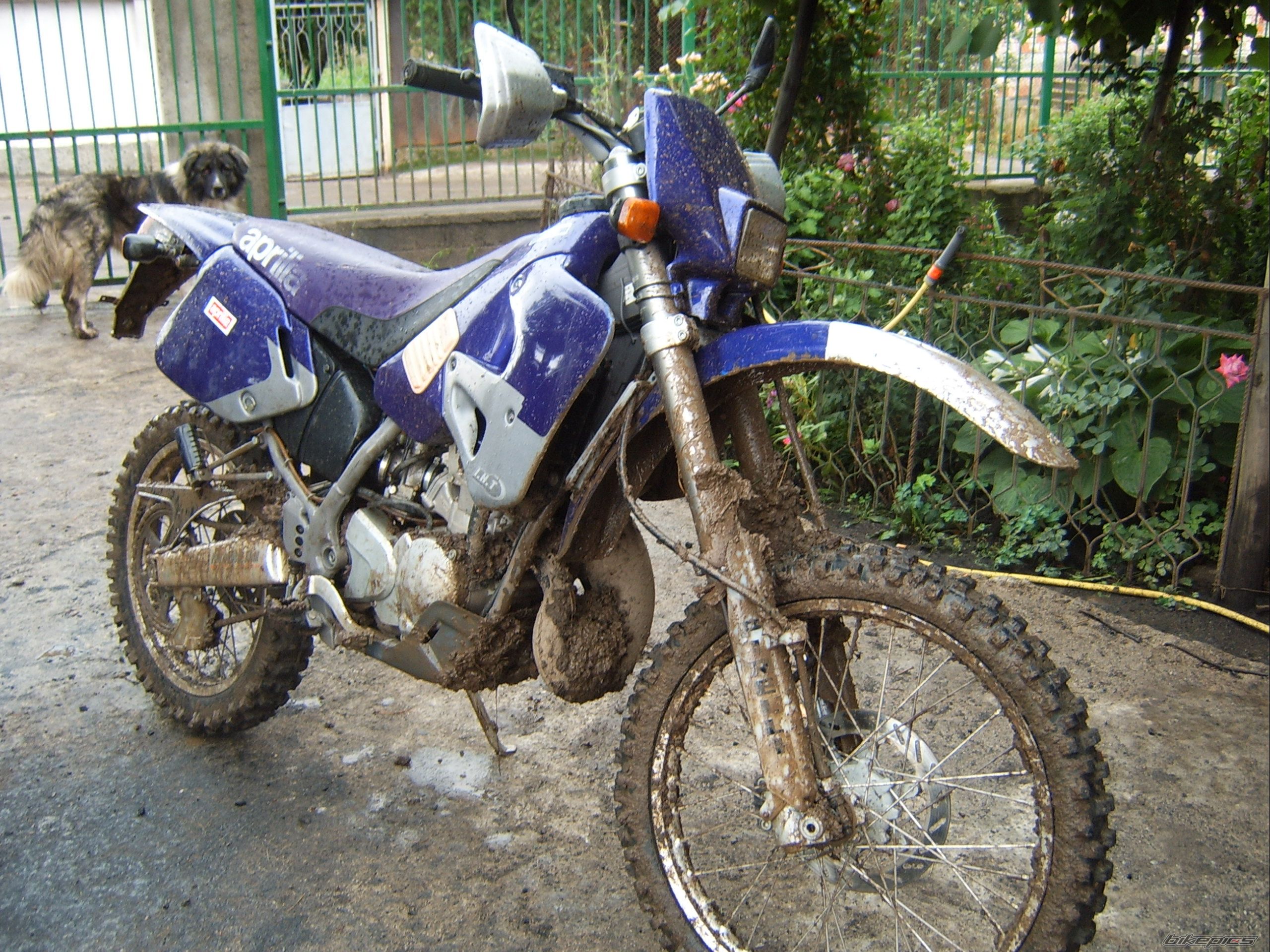 Photo 986629