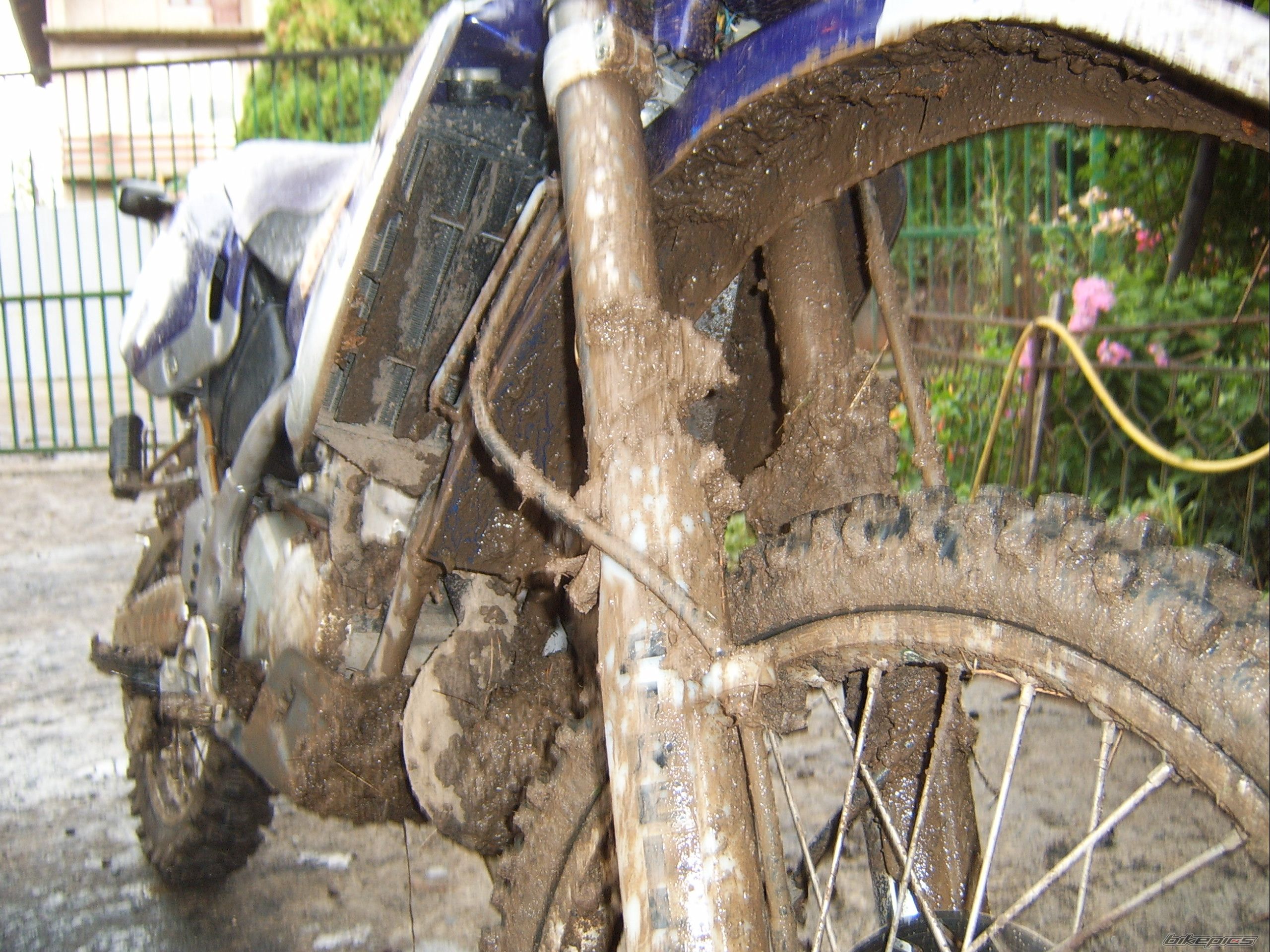 Photo 986642