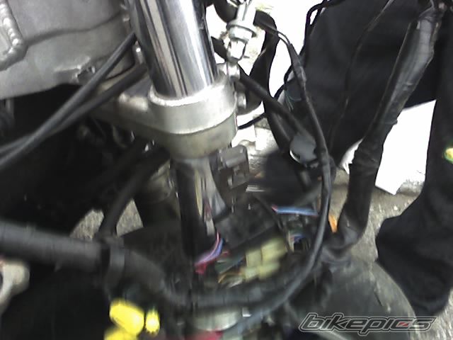 Photo 986822