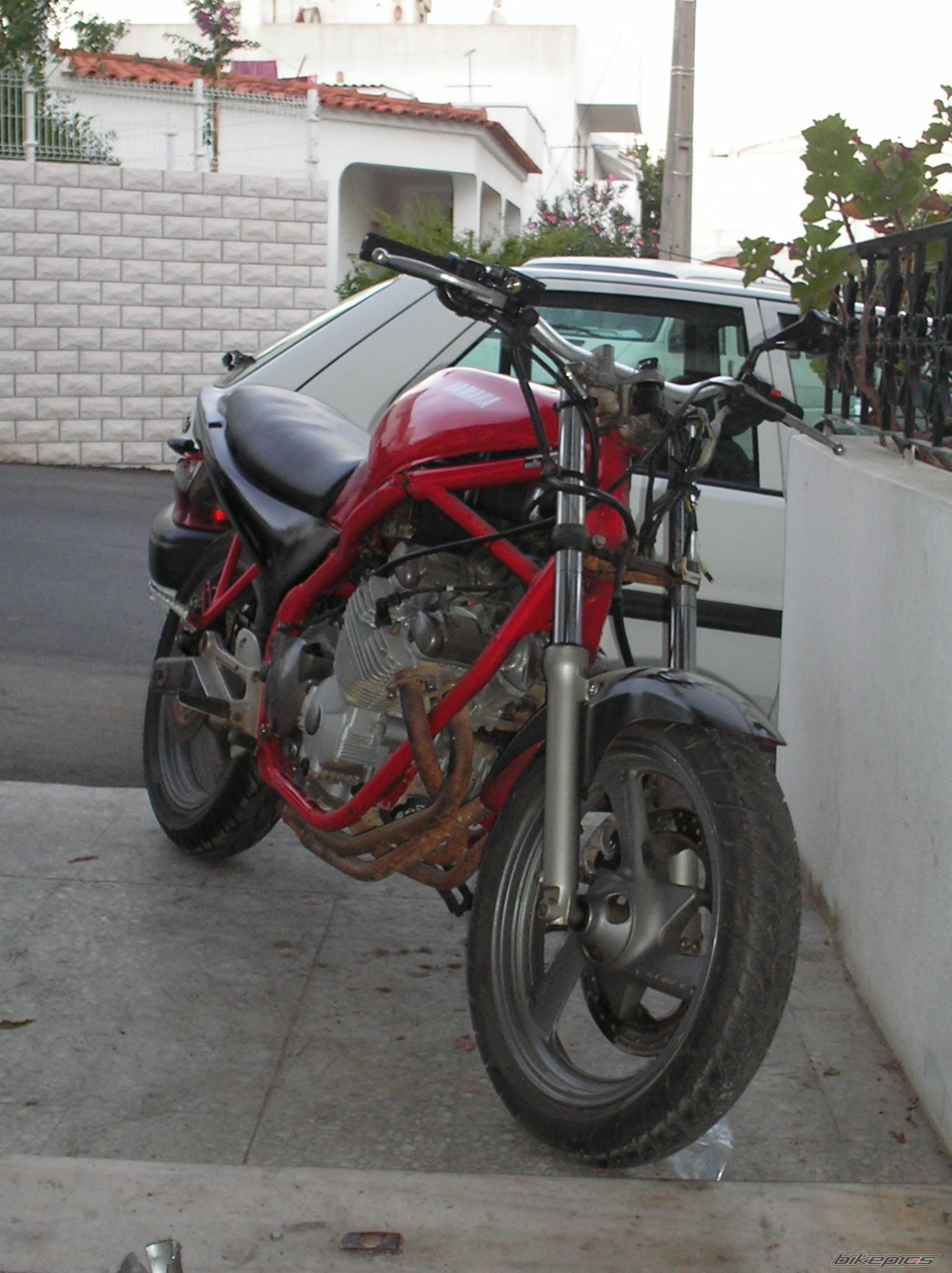Photo 986870