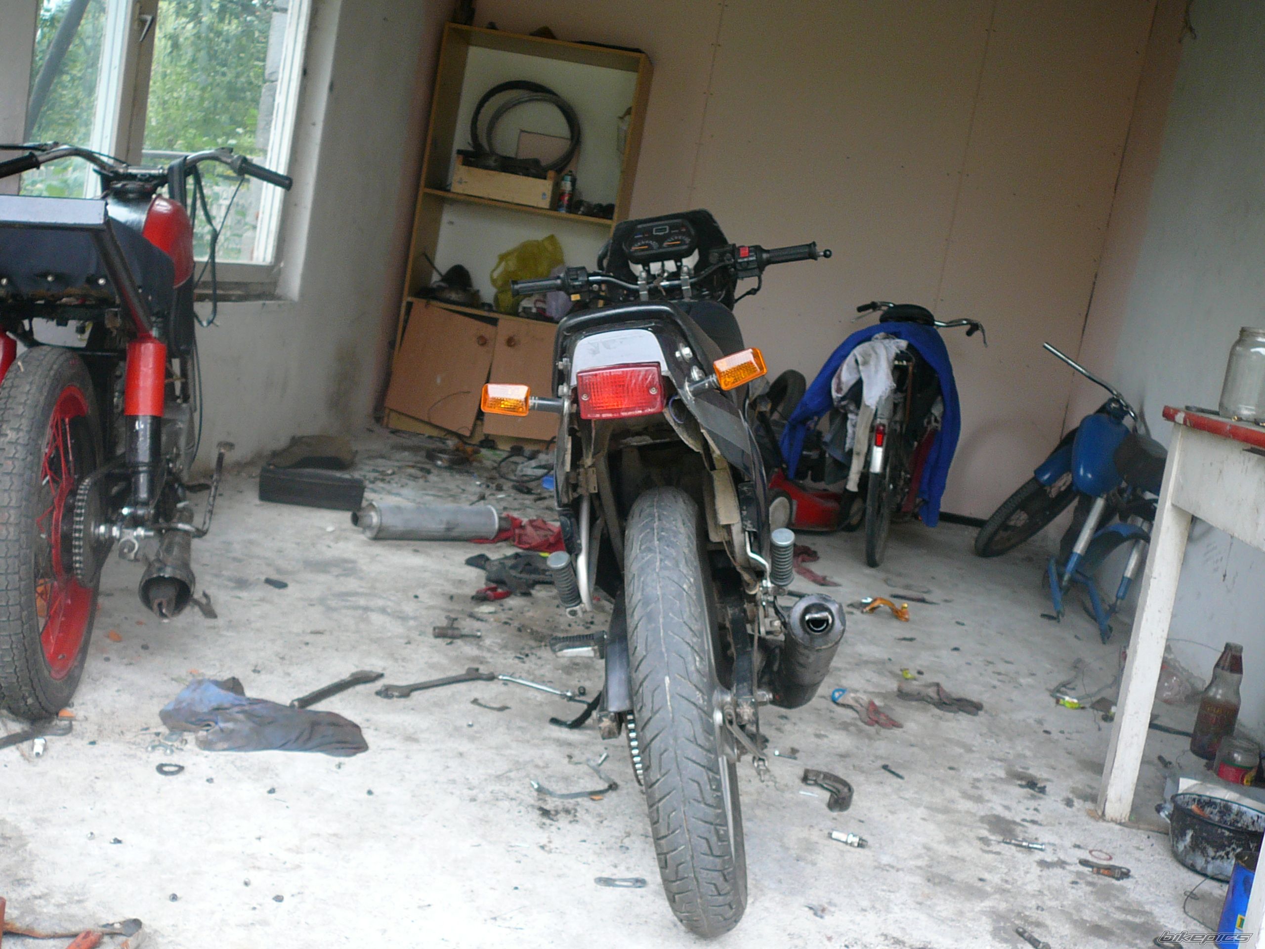 Photo 986983