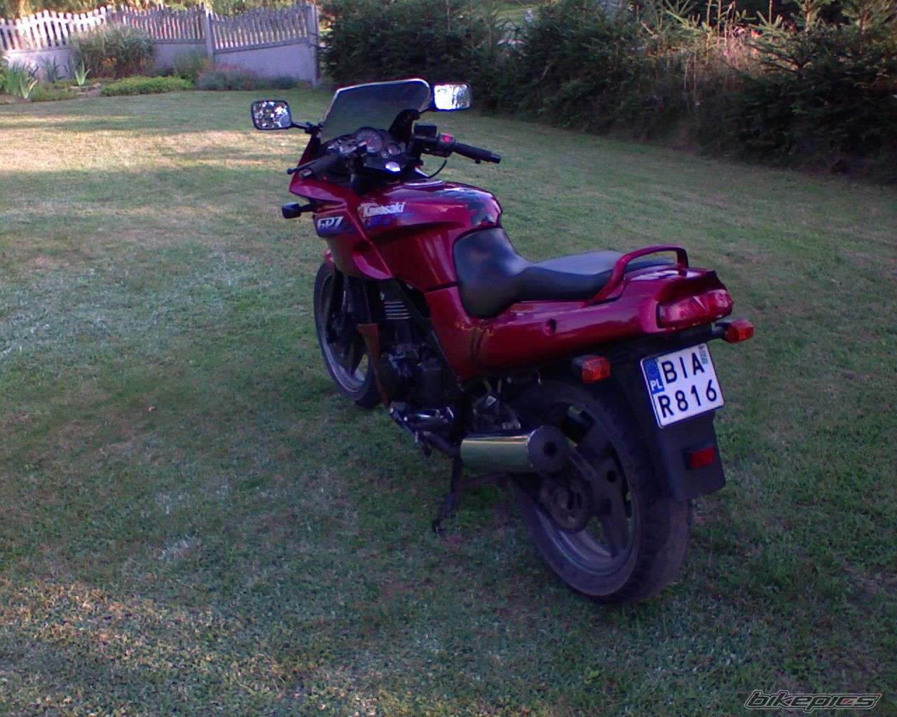 Photo 987023