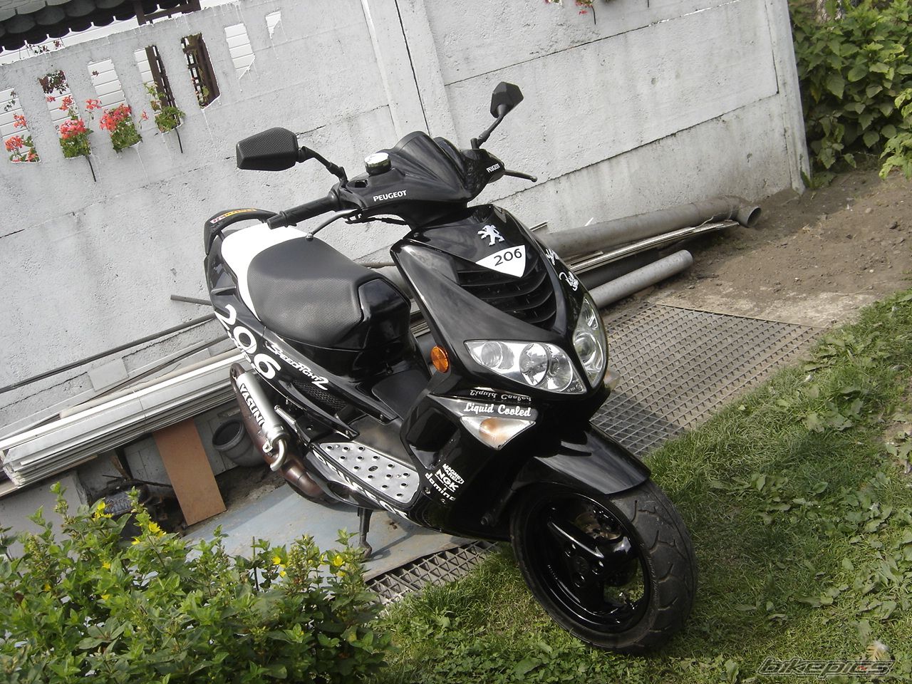 Photo 987045