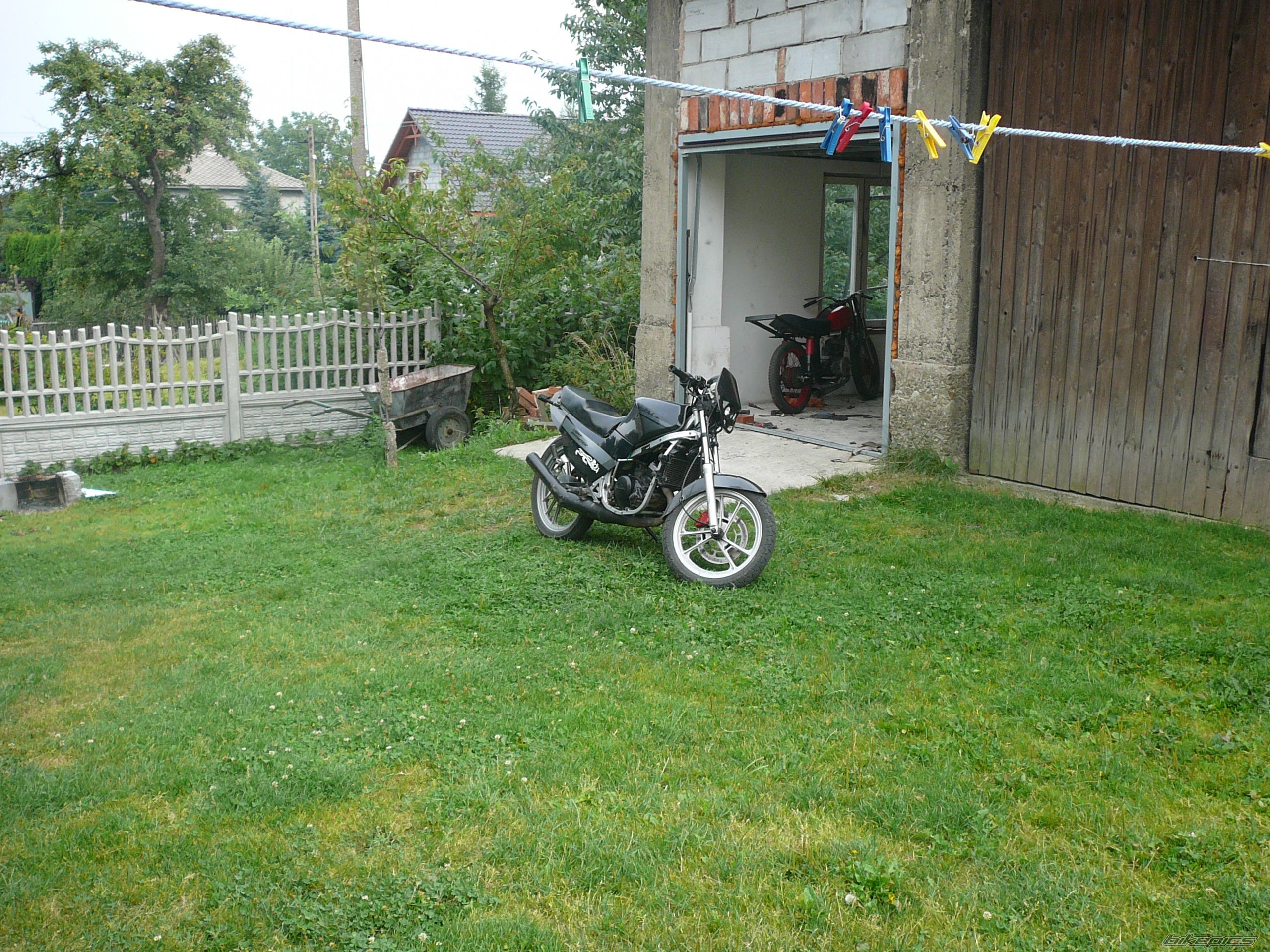 Photo 987060