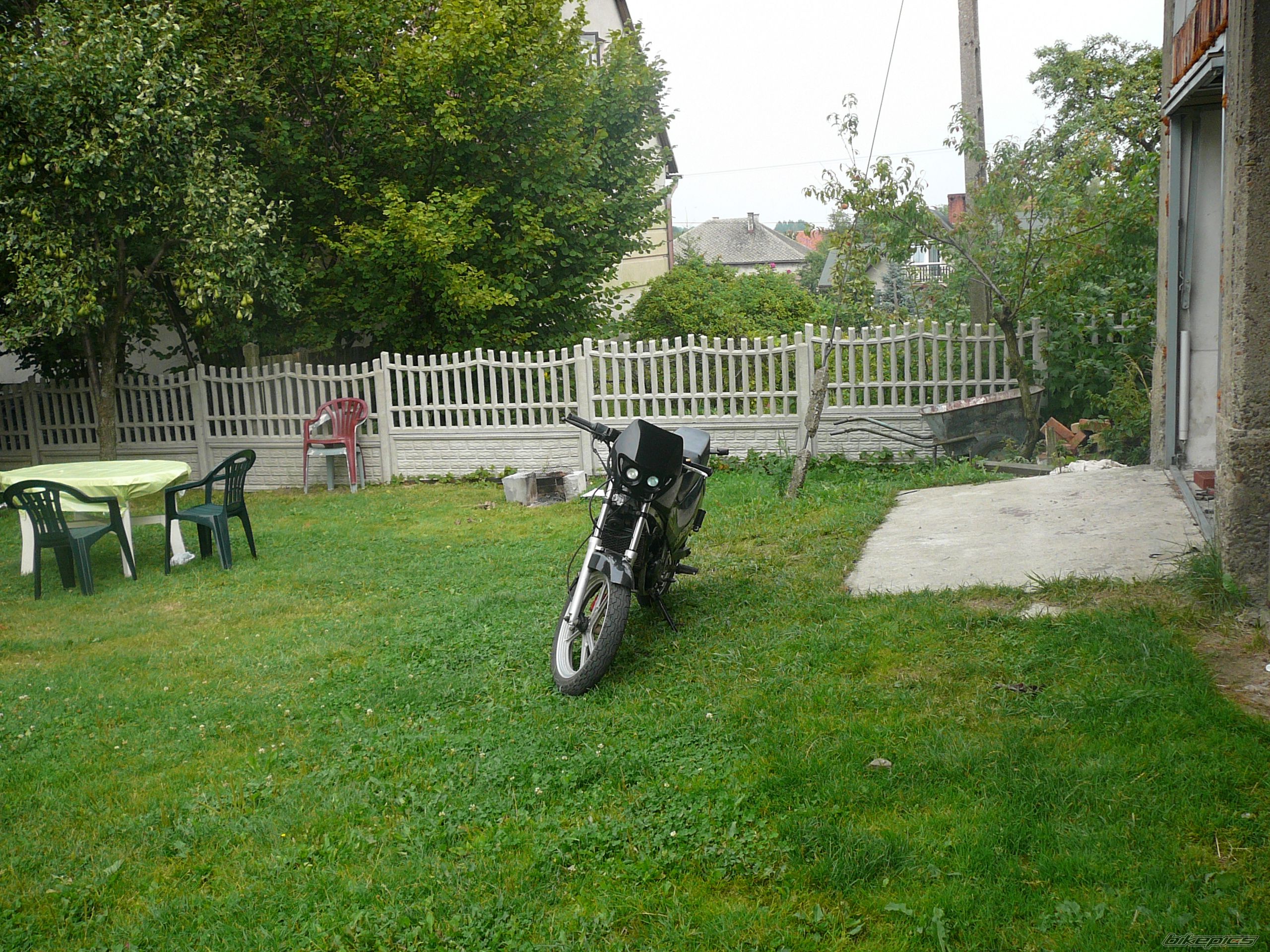 Photo 987064