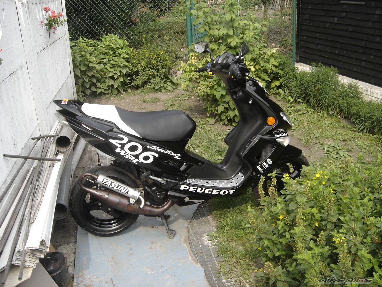 Photo 987081