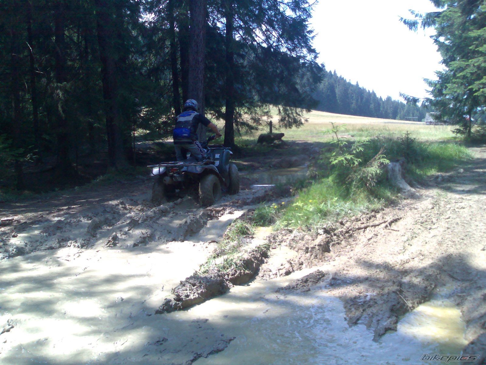 Photo 987152