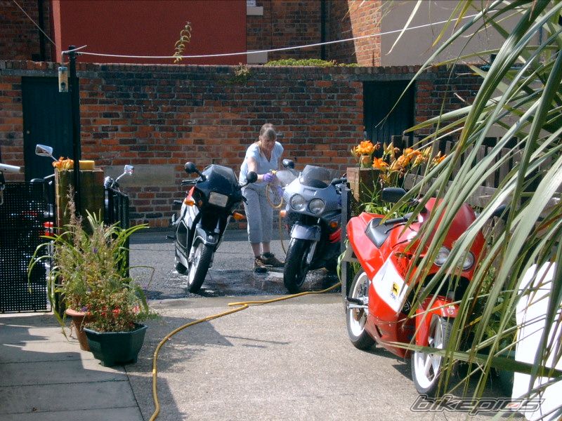 Photo 987173