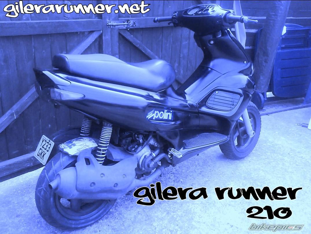 Photo 987231