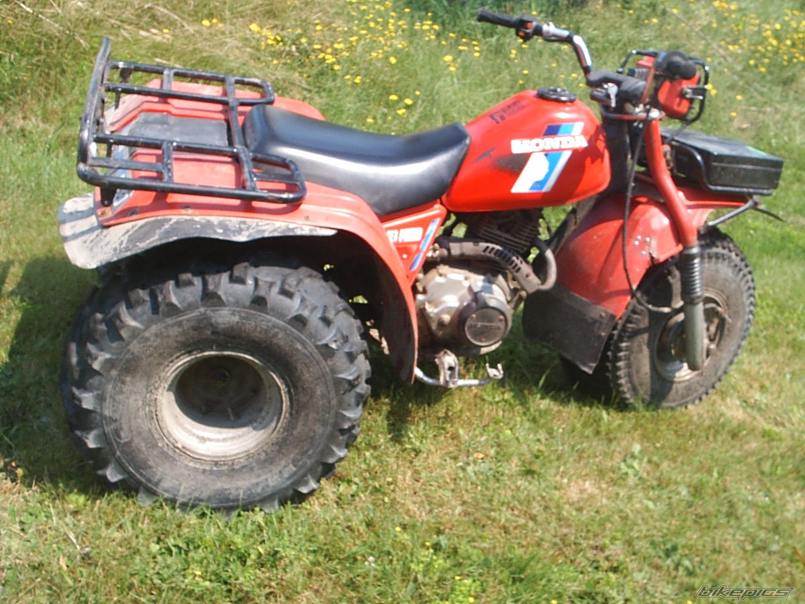 Photo 987292