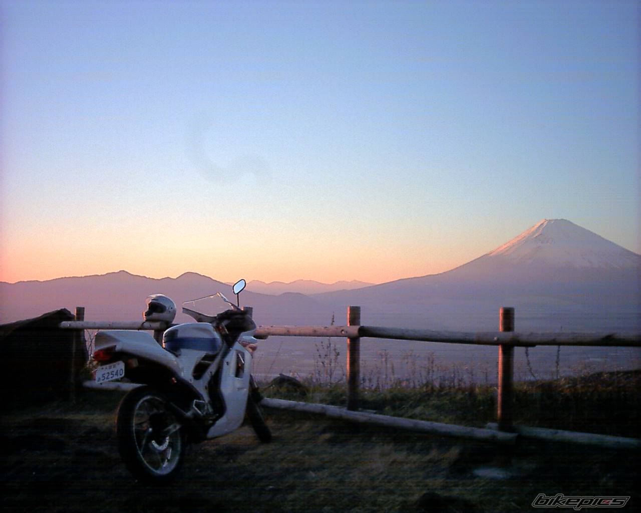 Photo 98734