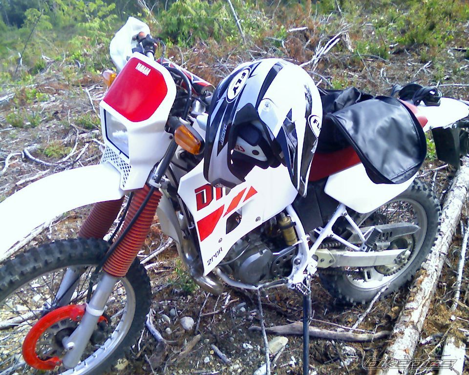 Photo 987366