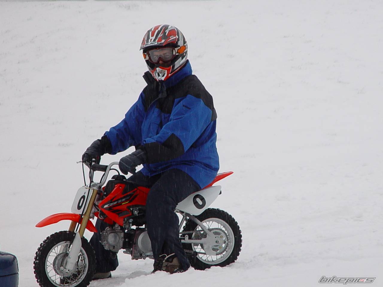 Photo 98737