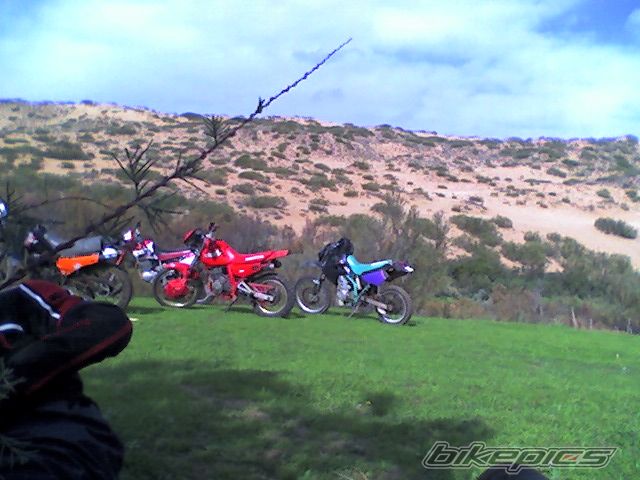 Photo 987602