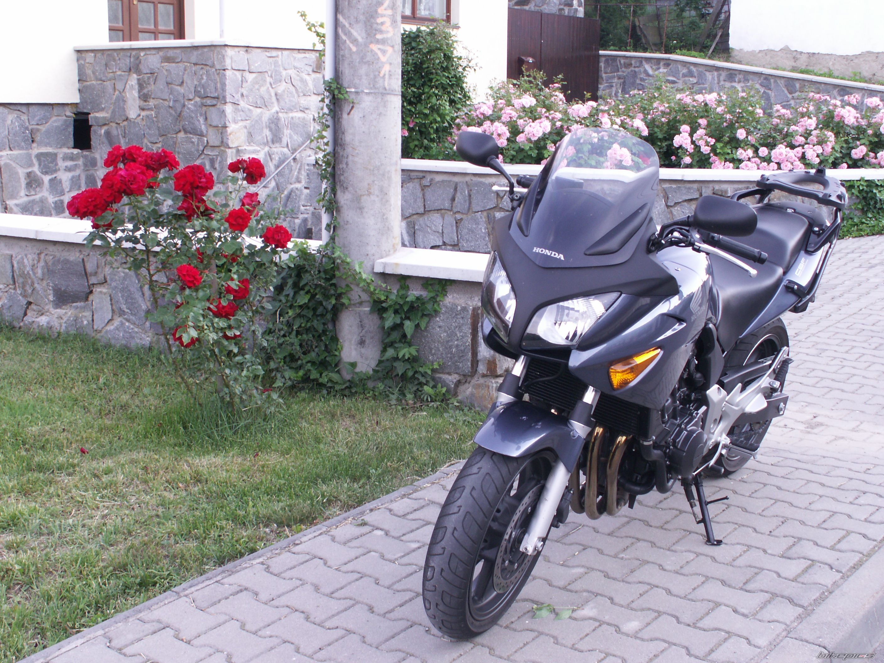 Photo 987649
