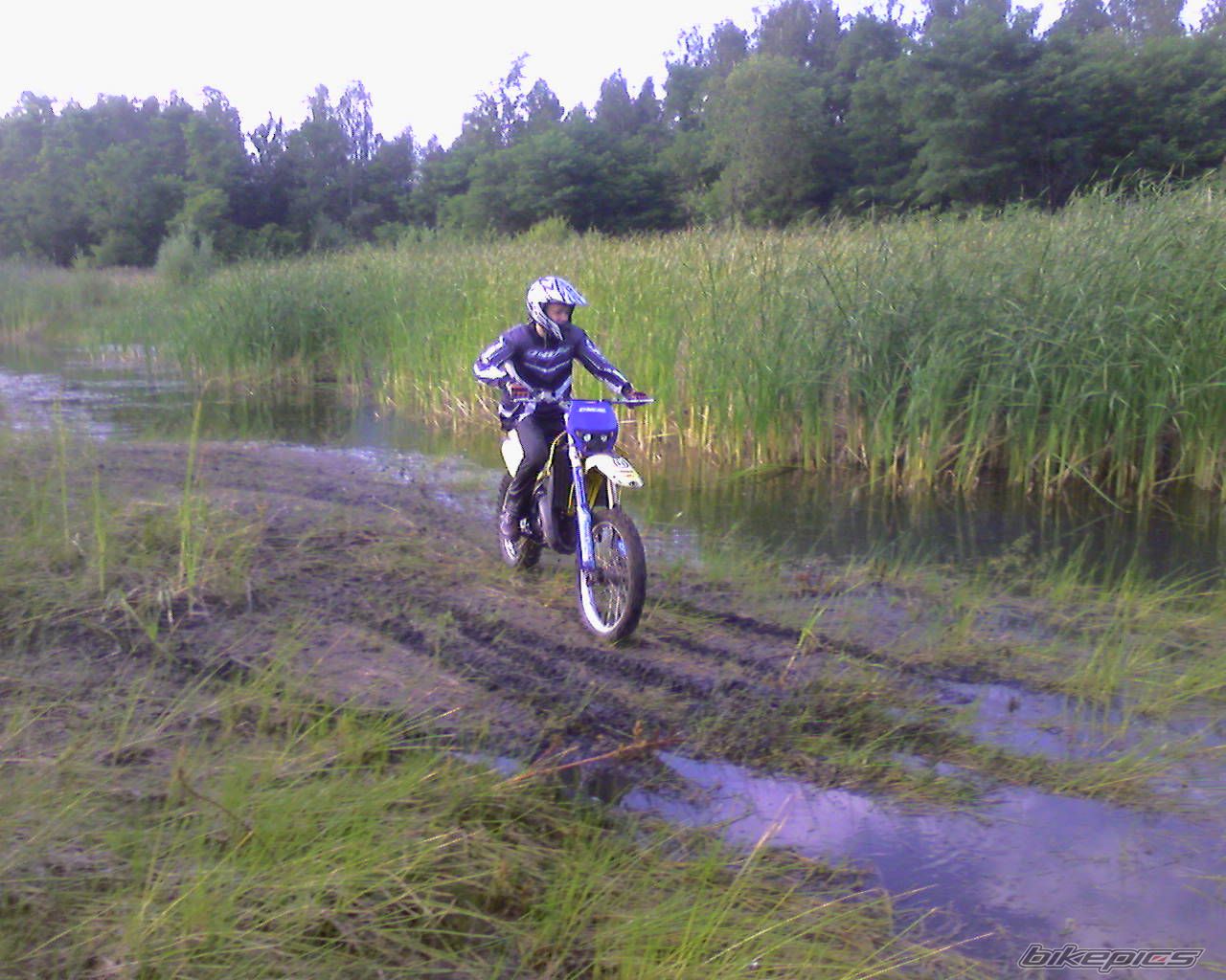 Photo 987693