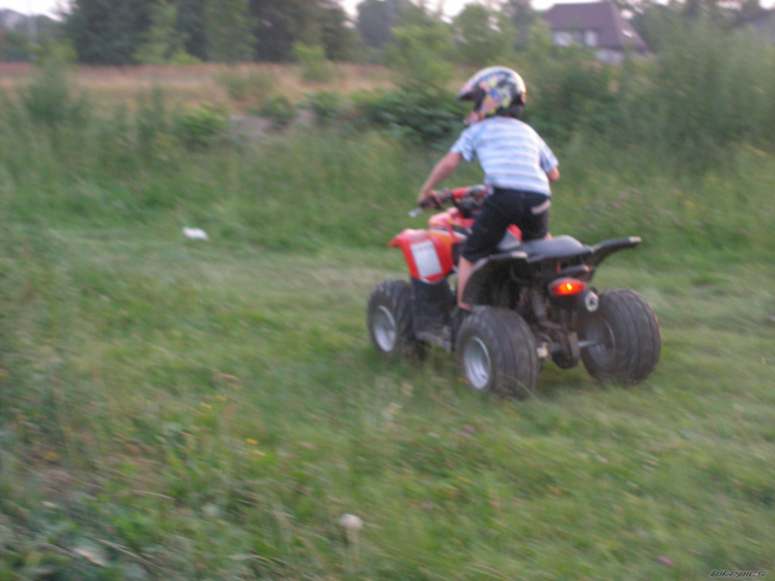 Photo 987939