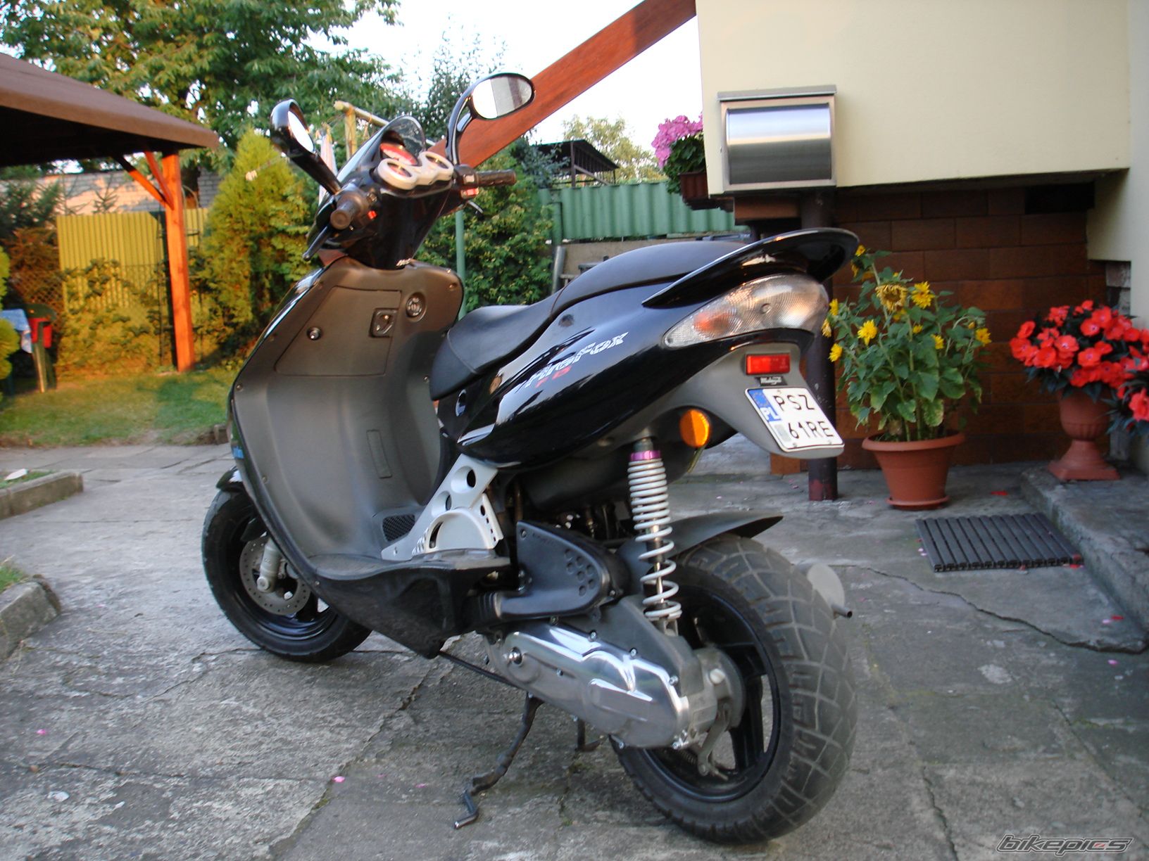 Photo 987957