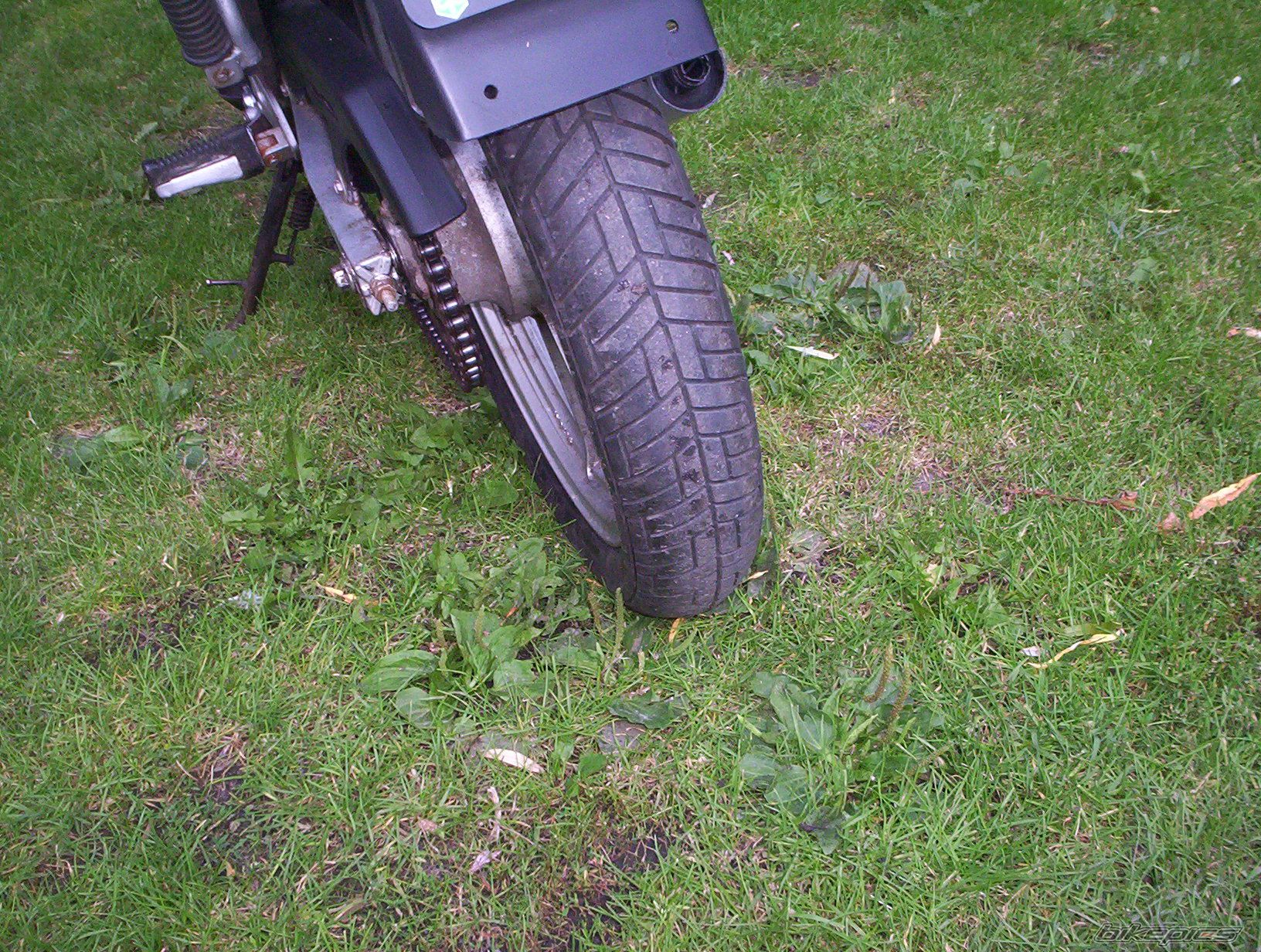 Photo 987967