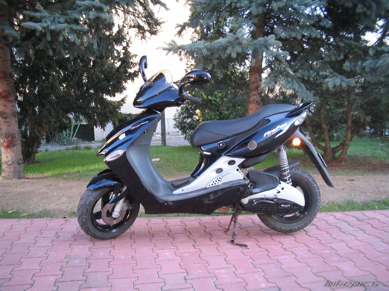 Photo 988039