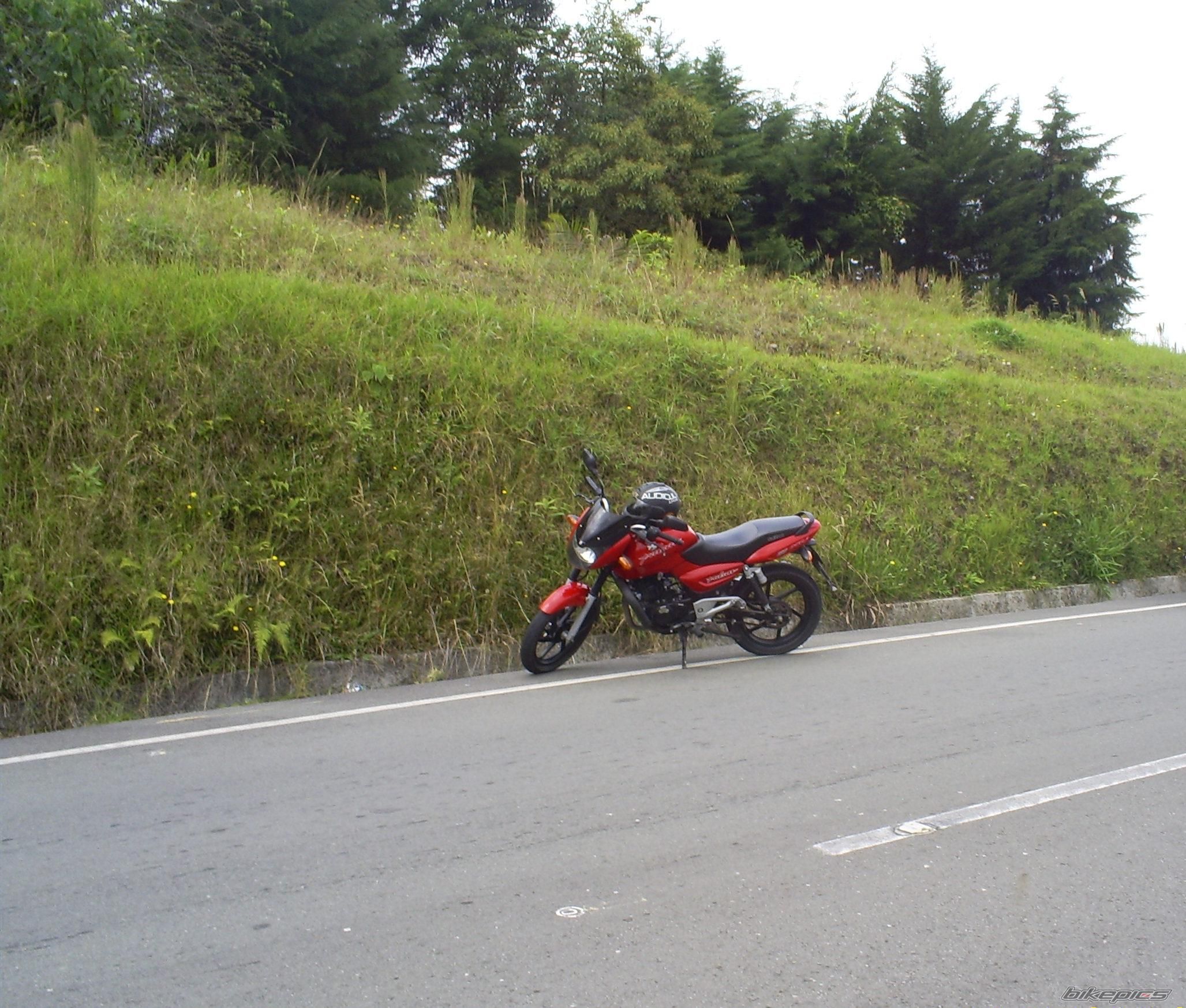 Photo 988120