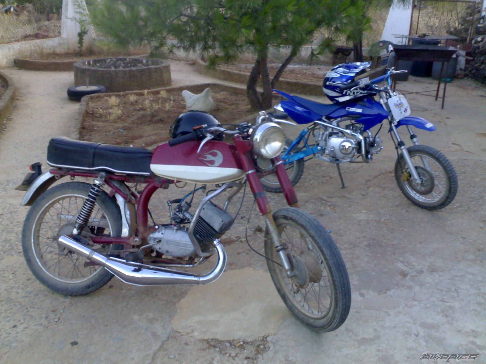 Photo 988180