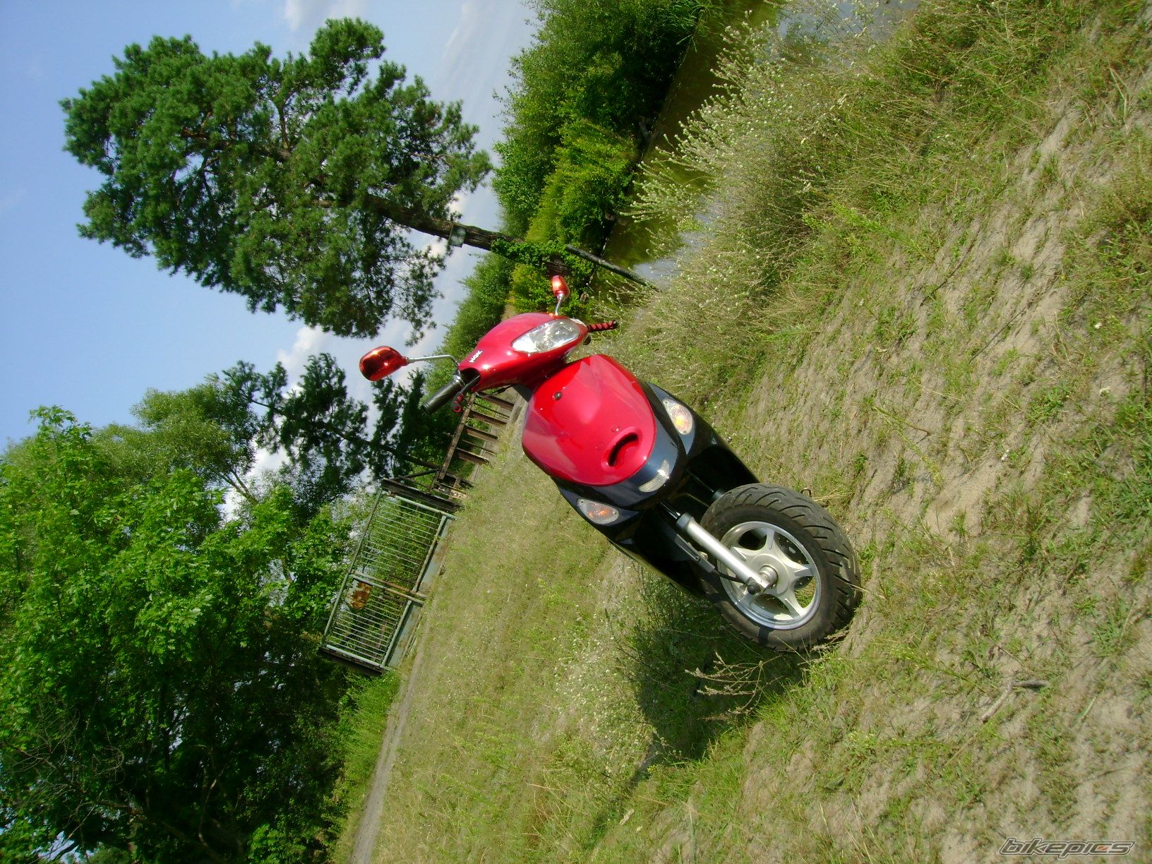 Photo 988410