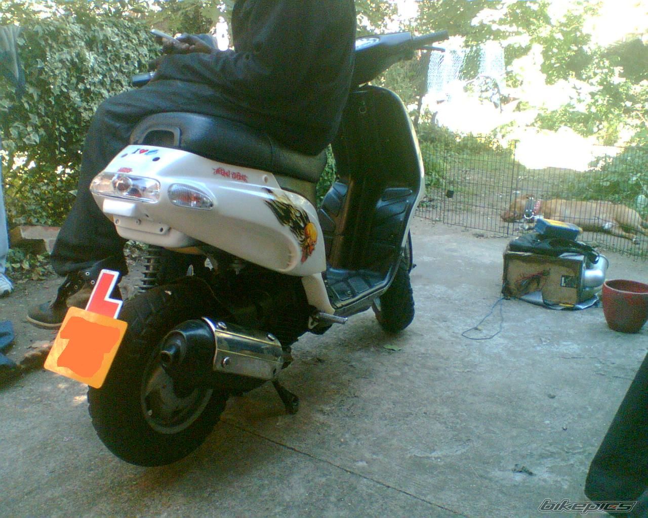 Photo 988558