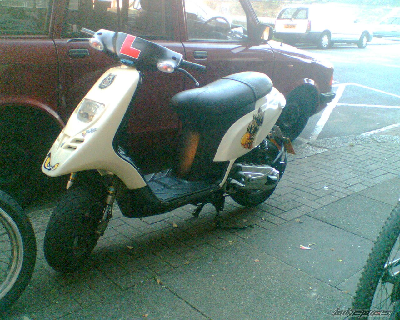 Photo 988560