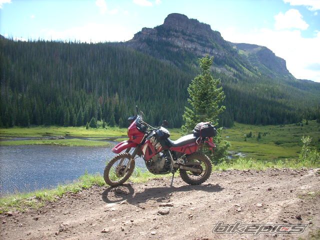 Photo 988608