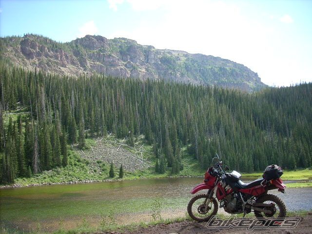 Photo 988619