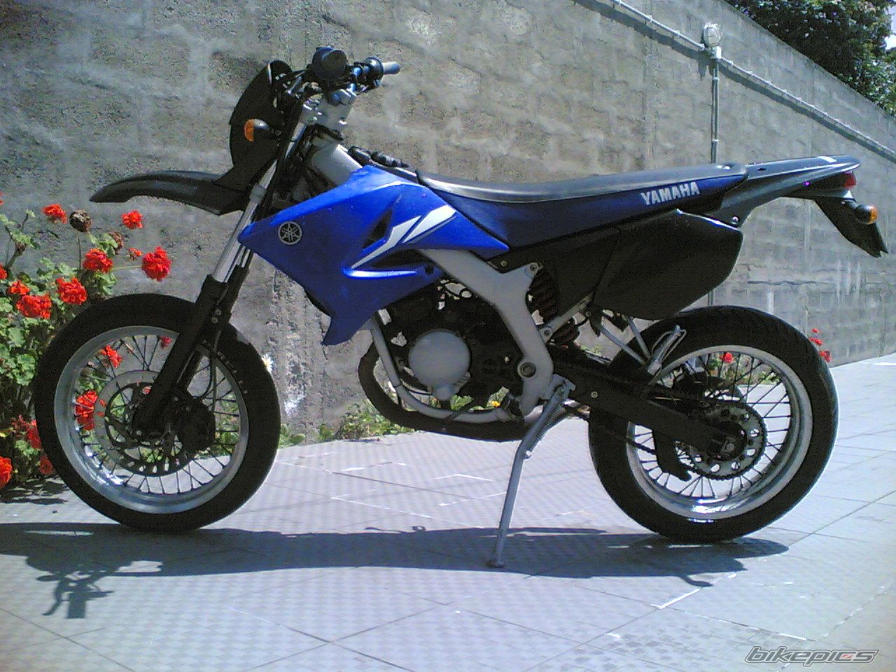 Photo 988623