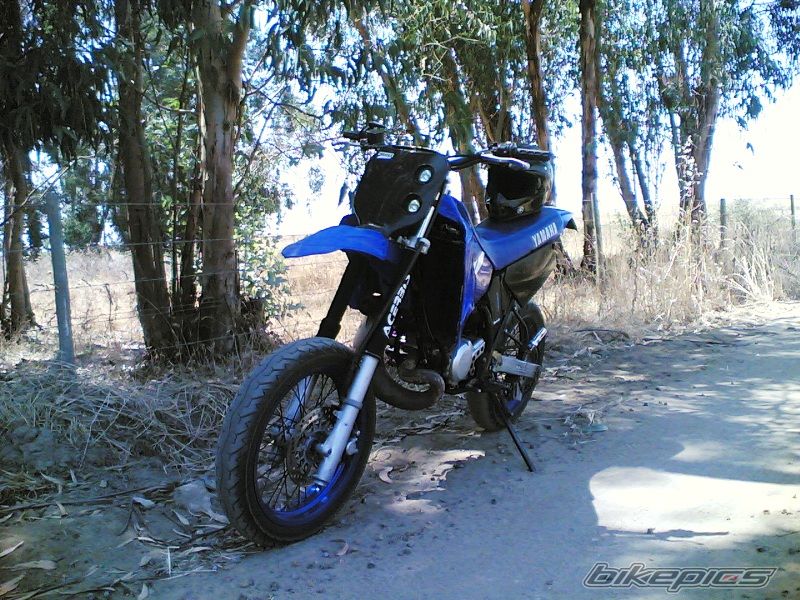 Photo 988691