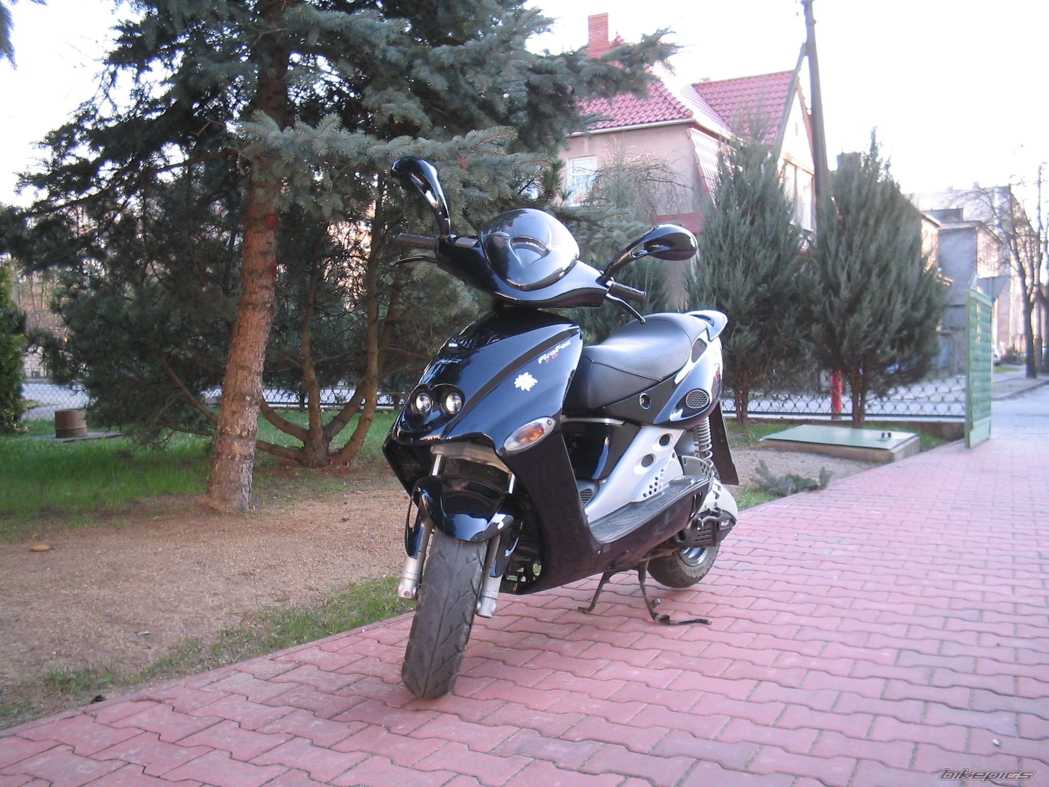 Photo 988696