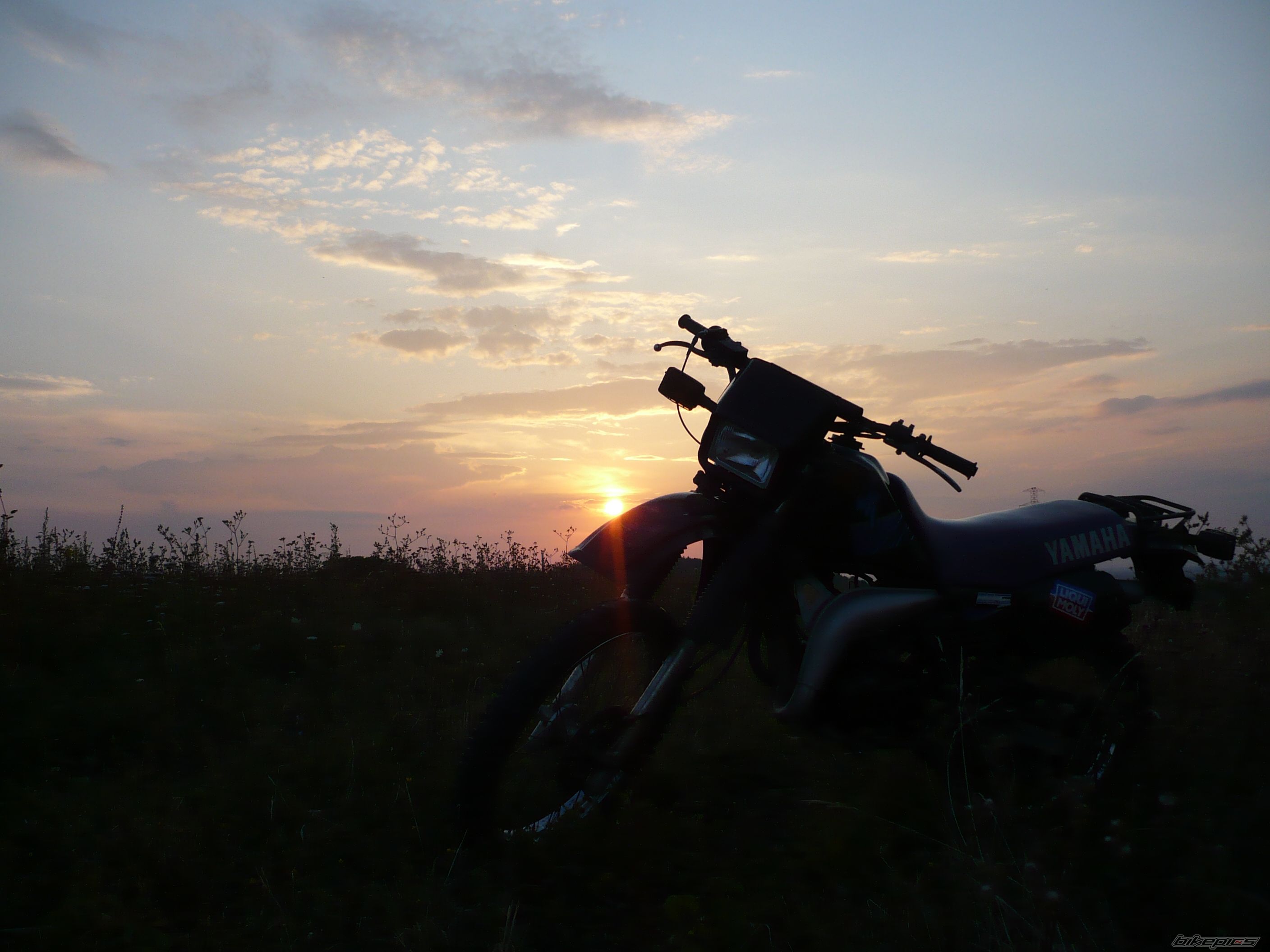 Photo 988775