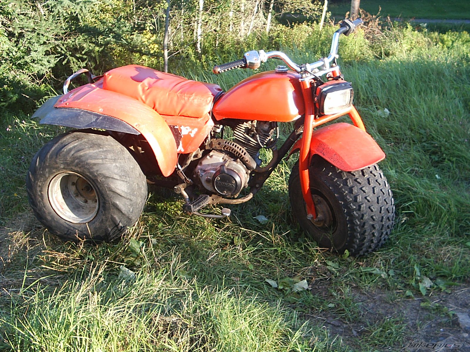 Photo 988998