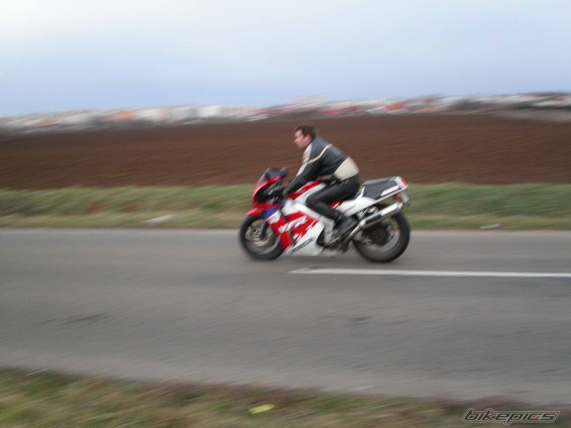 Photo 98900